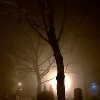 Avaa kuva isommaksi sumua, zombi puuttuu