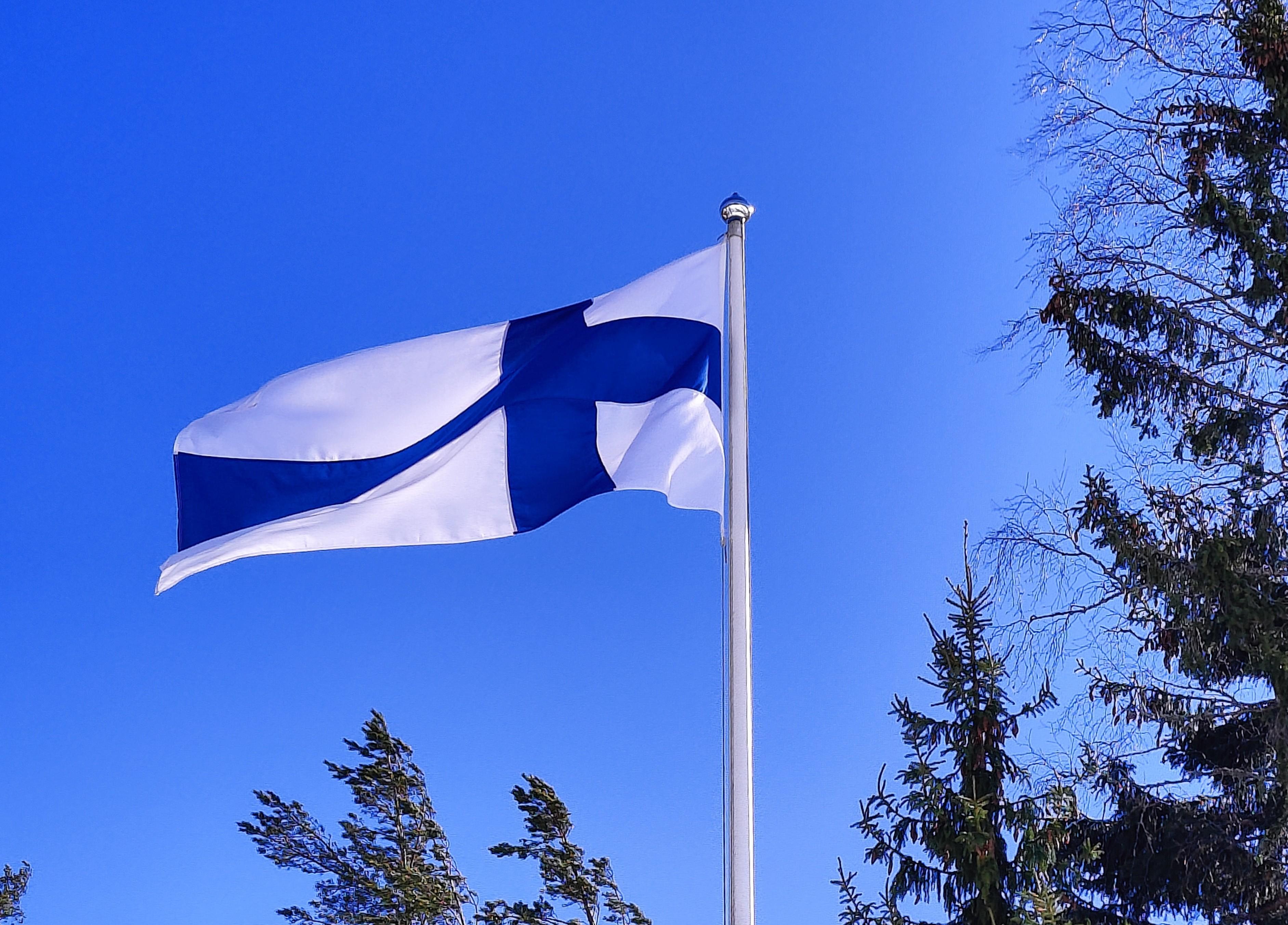 Suomen lippu, pieni.jpg