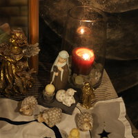 Avaa kuva isommaksi IMG_9894