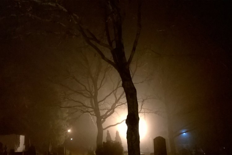 Avaa kuva isommaksi sumua, zombi puuttuu_M.
