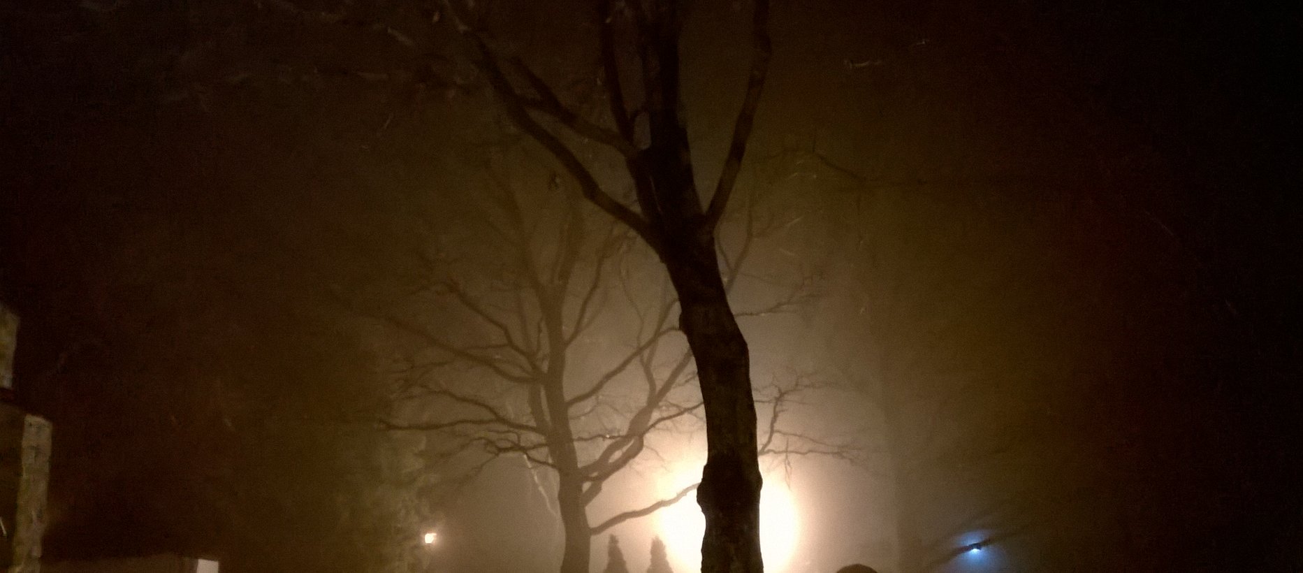 Avaa kuva isommaksi sumua, zombi puuttuu_XL.